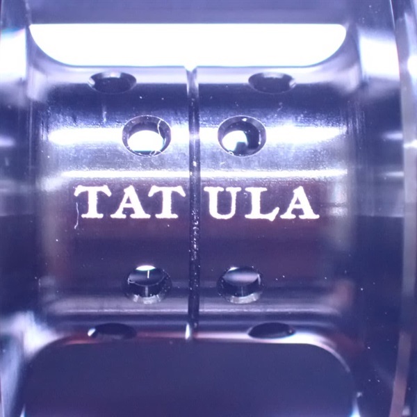 １９タトゥーラＴＷ１００ＳＨ